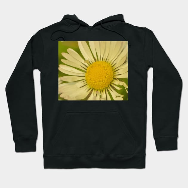 DAISY DAISY... Hoodie by dumbodancer